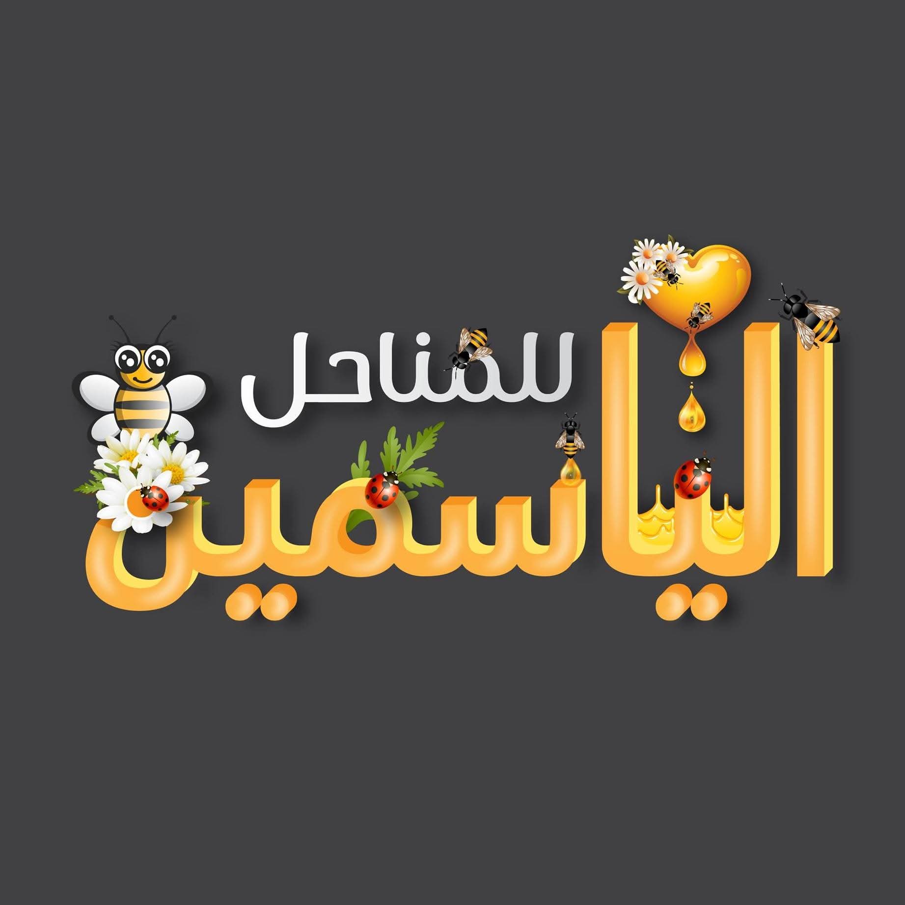 برج النصر خلف فرست مول من شارع العمدة الطالبية البحرية .فيصل .الجيزة